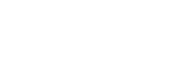 Dynamic Planner logo