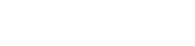 Wealth Wizards logo