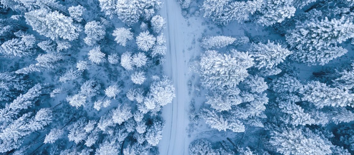 aerial-photography-of-snow-covered-trees-1438761